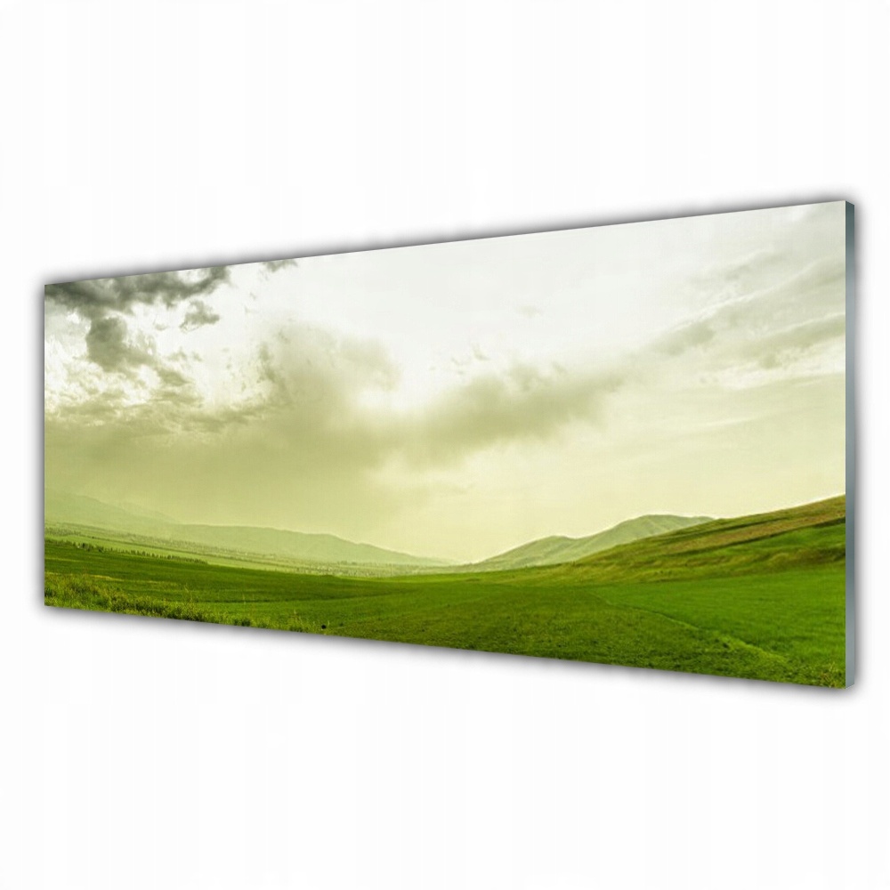 

Obraz z grafiką 125x50 Łąka Natura Zielony Widok