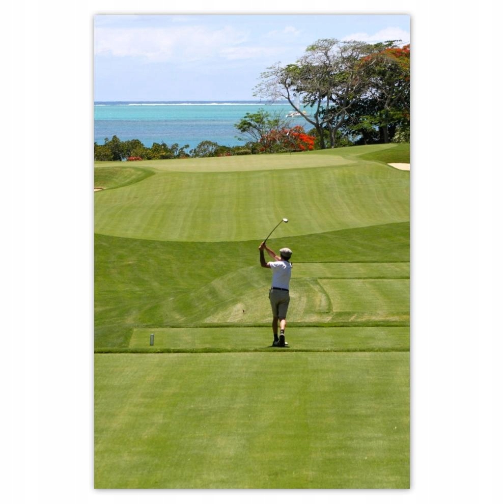 

Plakat 62x93 Golfista na polu