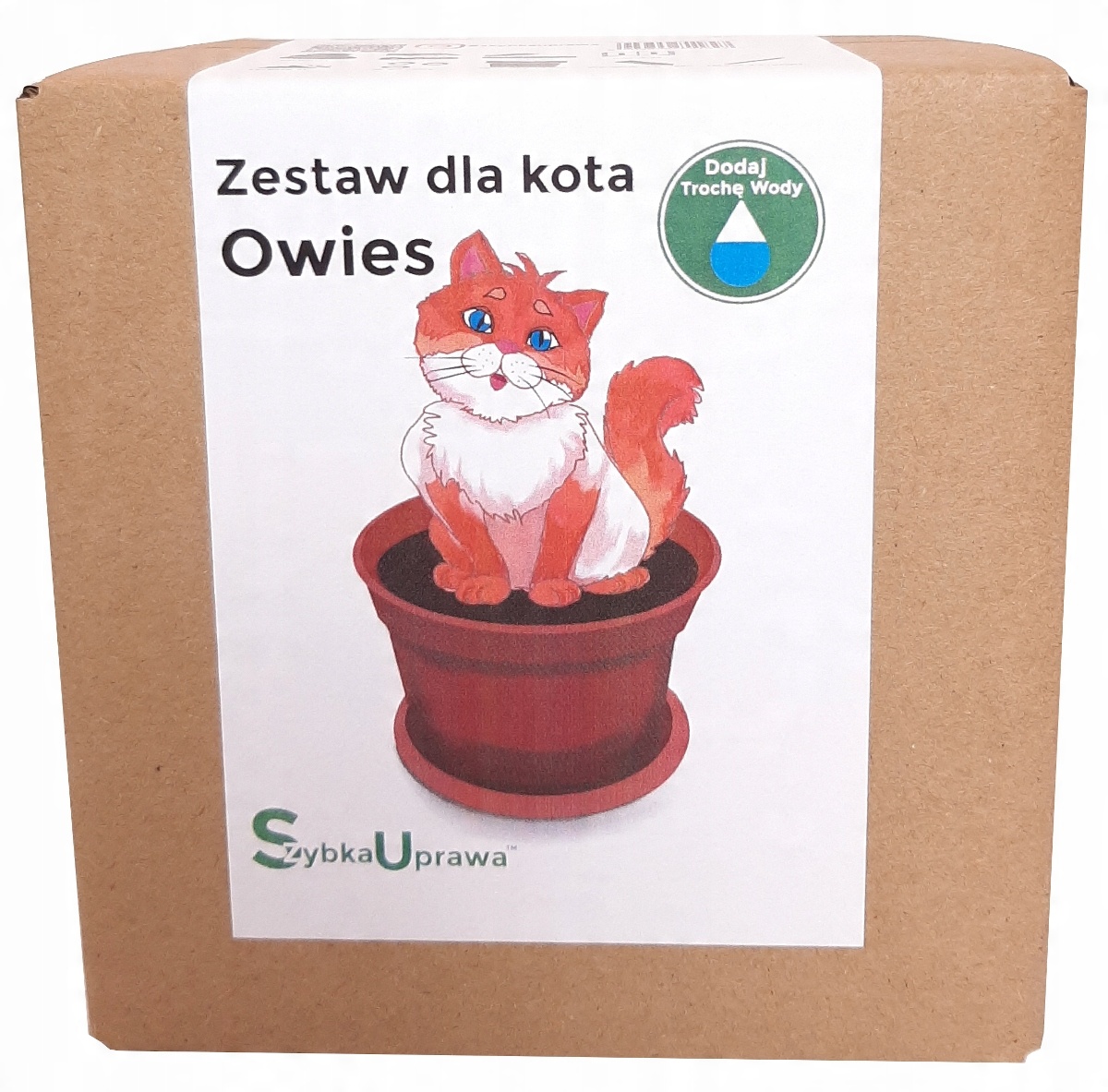 

Gadżet Dla Kota Roślina Owies c2