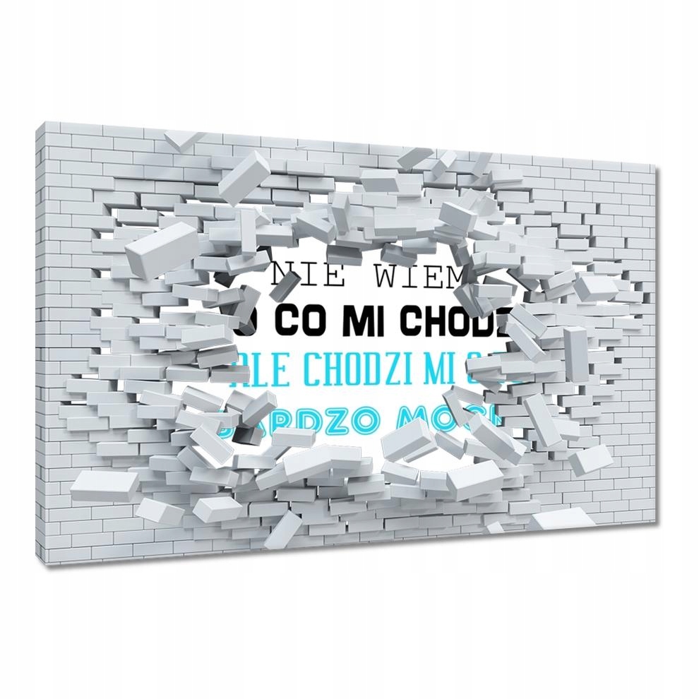 

Obrazy 60x40 Nie wiem o co mi chodzi