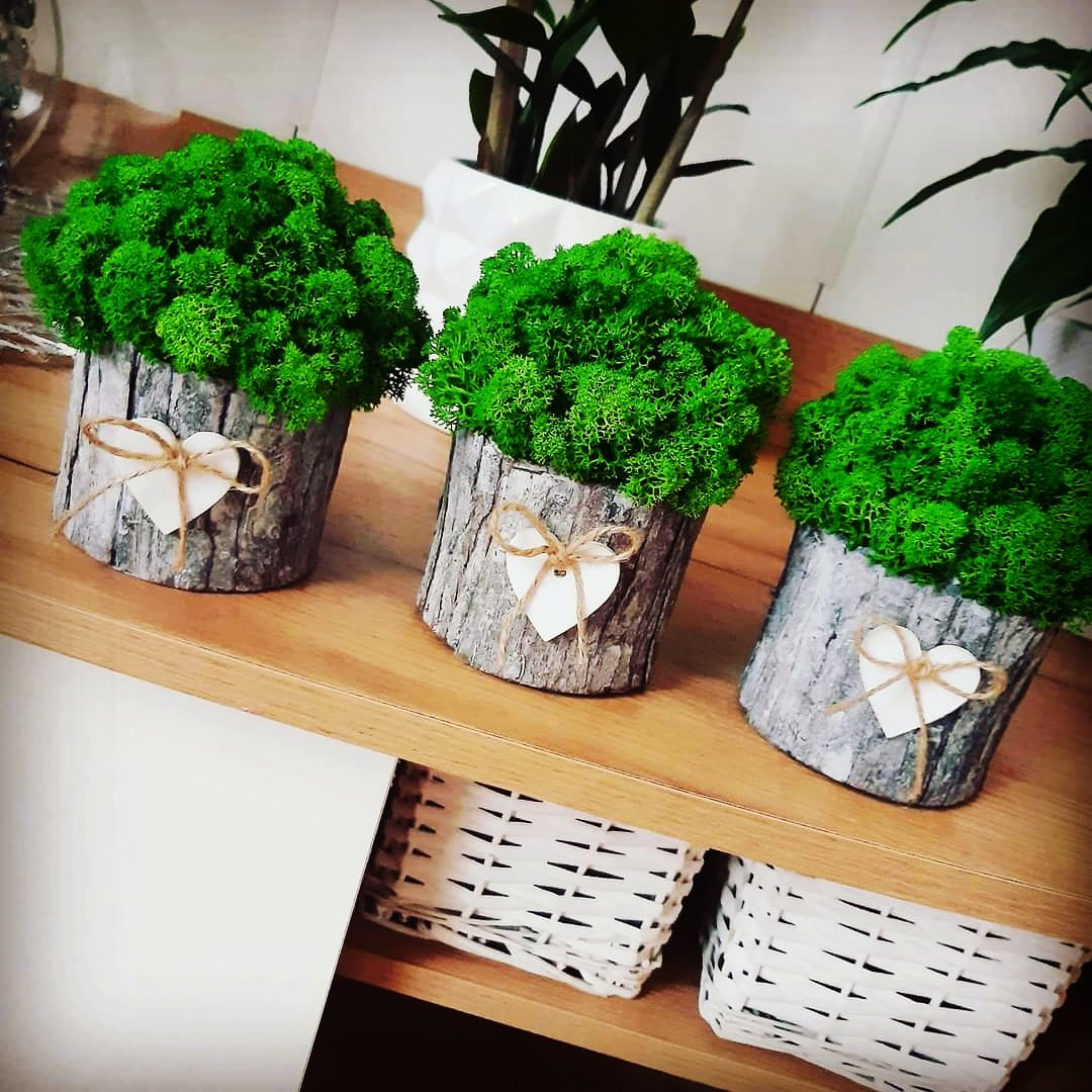 DEKORACJA MECH CHROBOTEK KUBEŁEK OZDOBA DO DOMU Wysokość produktu 14 cm