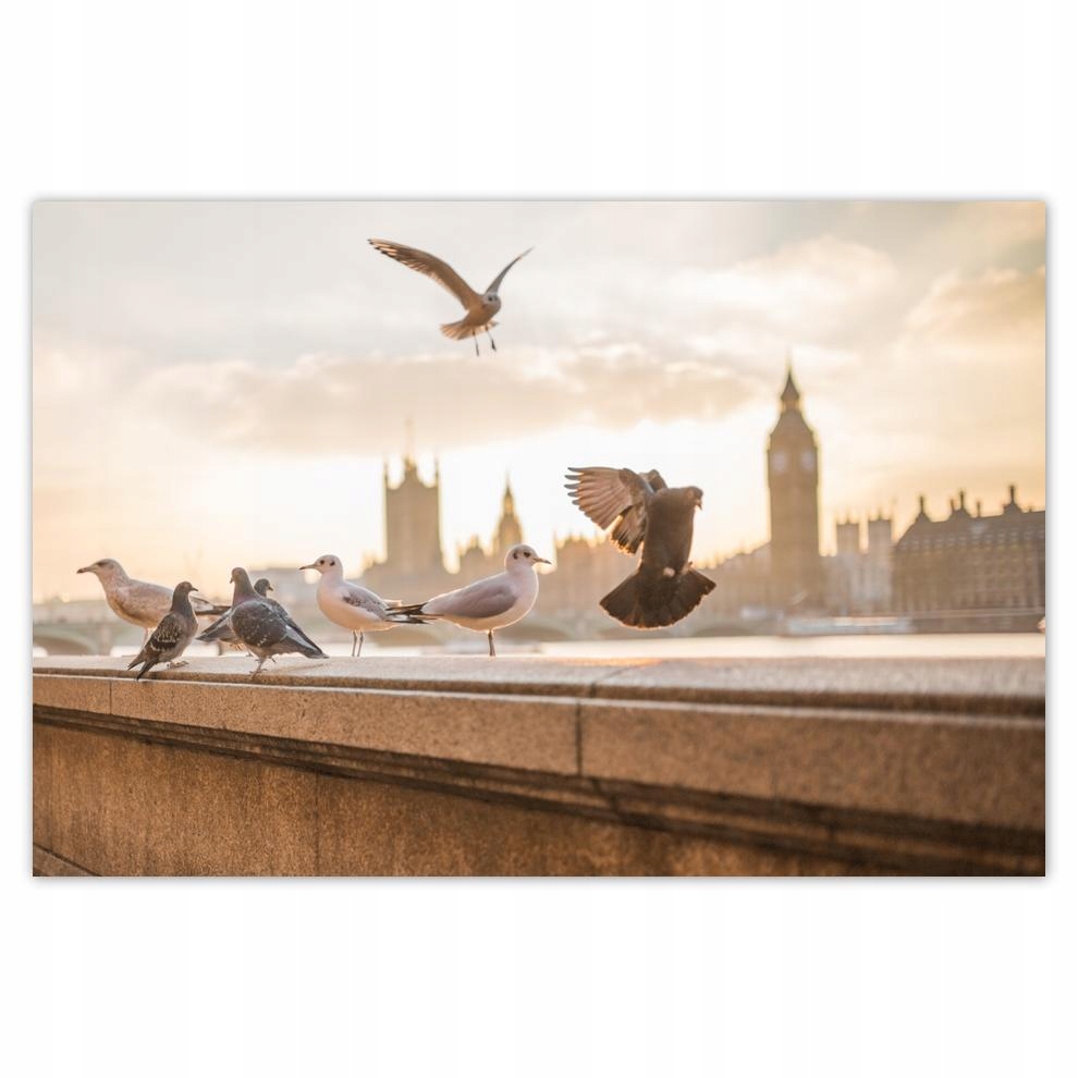 

Plakaty 60x40 Poruszenie przy Big Benie