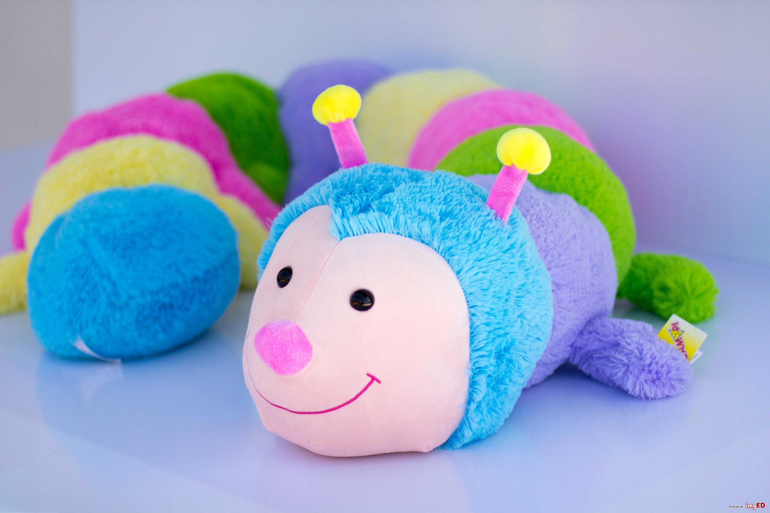 STONOGA GĄSIENICA MASKOTKA PLUSZOWY MIŚ 180CM Marka Gampi