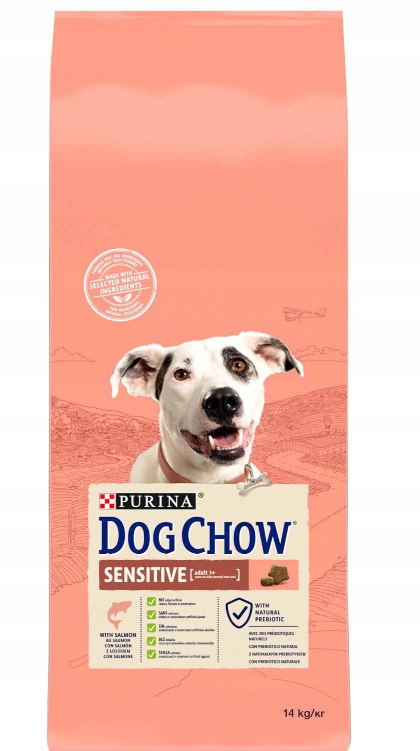 Karma Purina Dog Chow łosoś 14kg