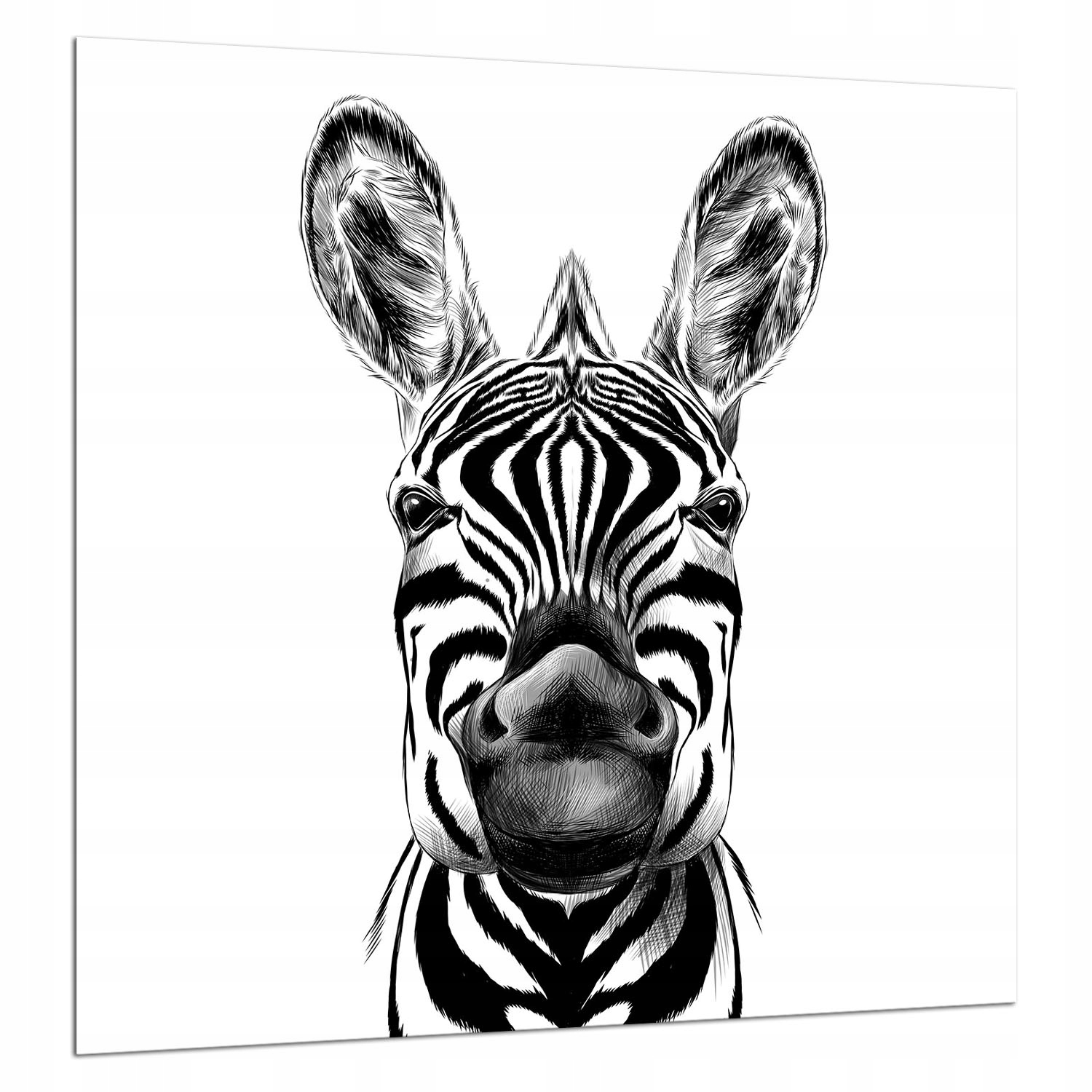 Ochranný Skleněný Panel Do Kuchyně 60x65 Zebra Lacobel 7v1