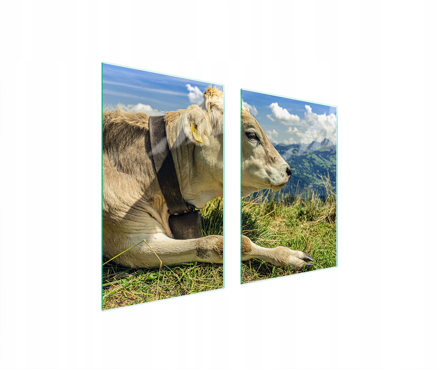 Skleněná Ochranná Deska Do Kuchyně 65x52 Kráva Tvrzené Sklo