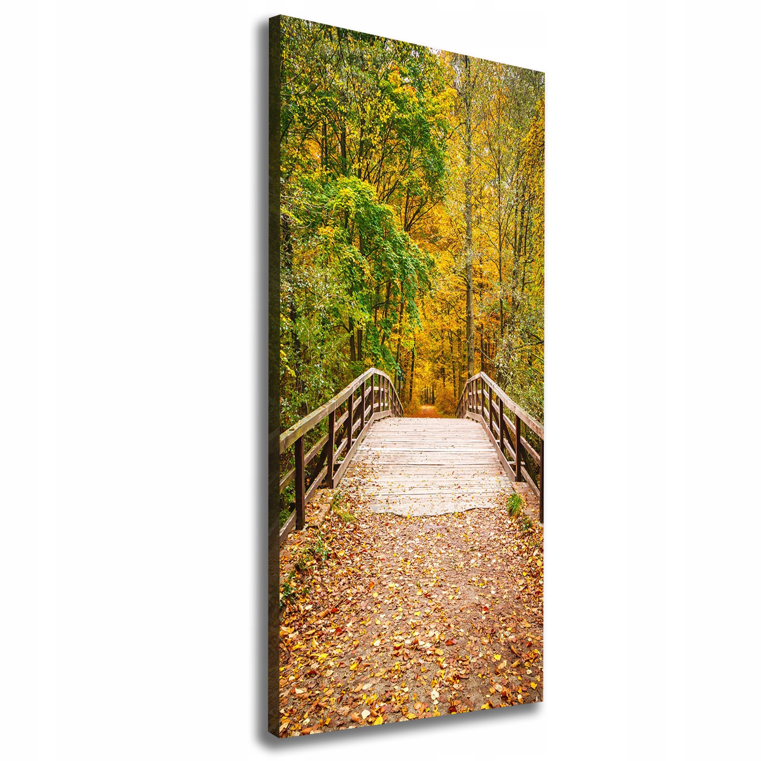 Fotoobraz canvas do obývacího pokoje Les na podzim 50x125