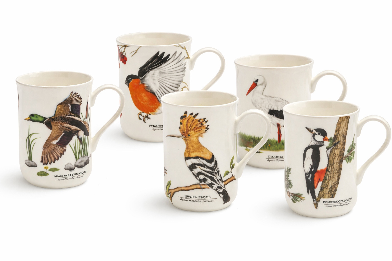 5 x Porcelánový hrnček s motívom „Vtáky Poľský“ 300 ml hrnčeky, sada