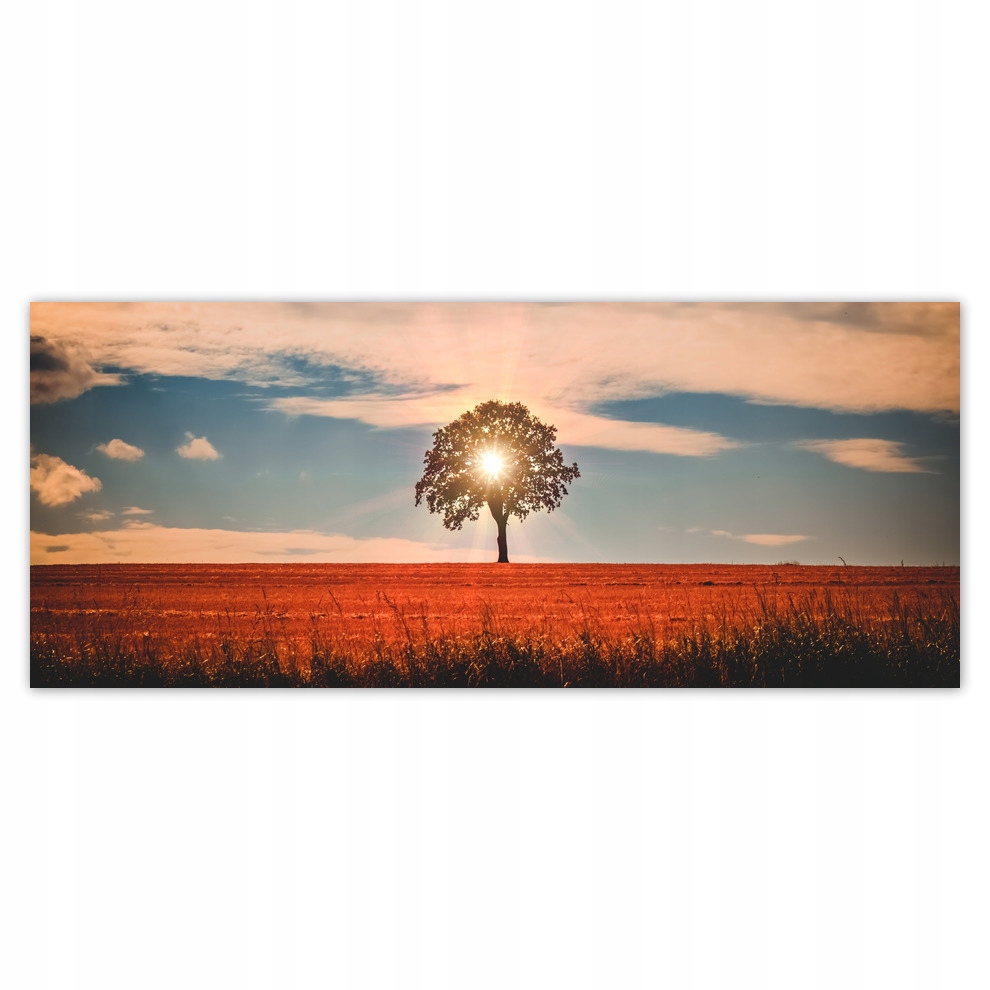 

Fototapety flizelina 250x104 Samotne drzewo