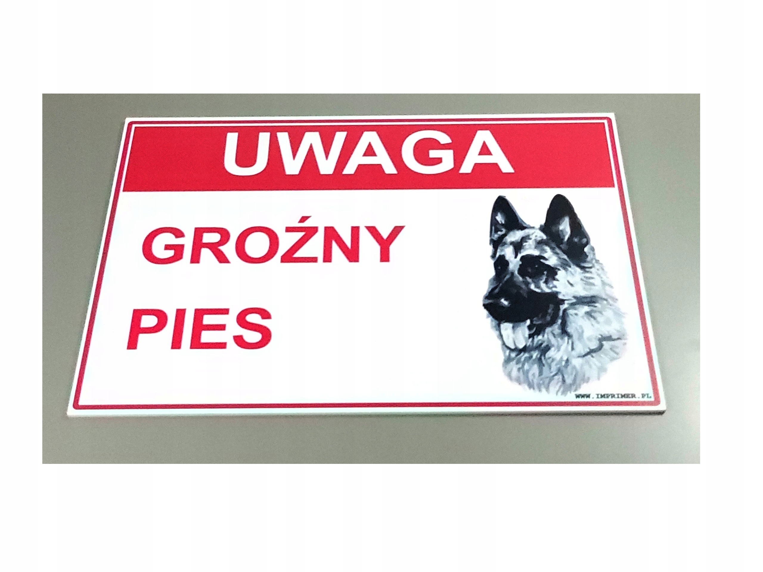 UWAGA GROŹNY PIES TABLICZKA TABLICA 30X20cm