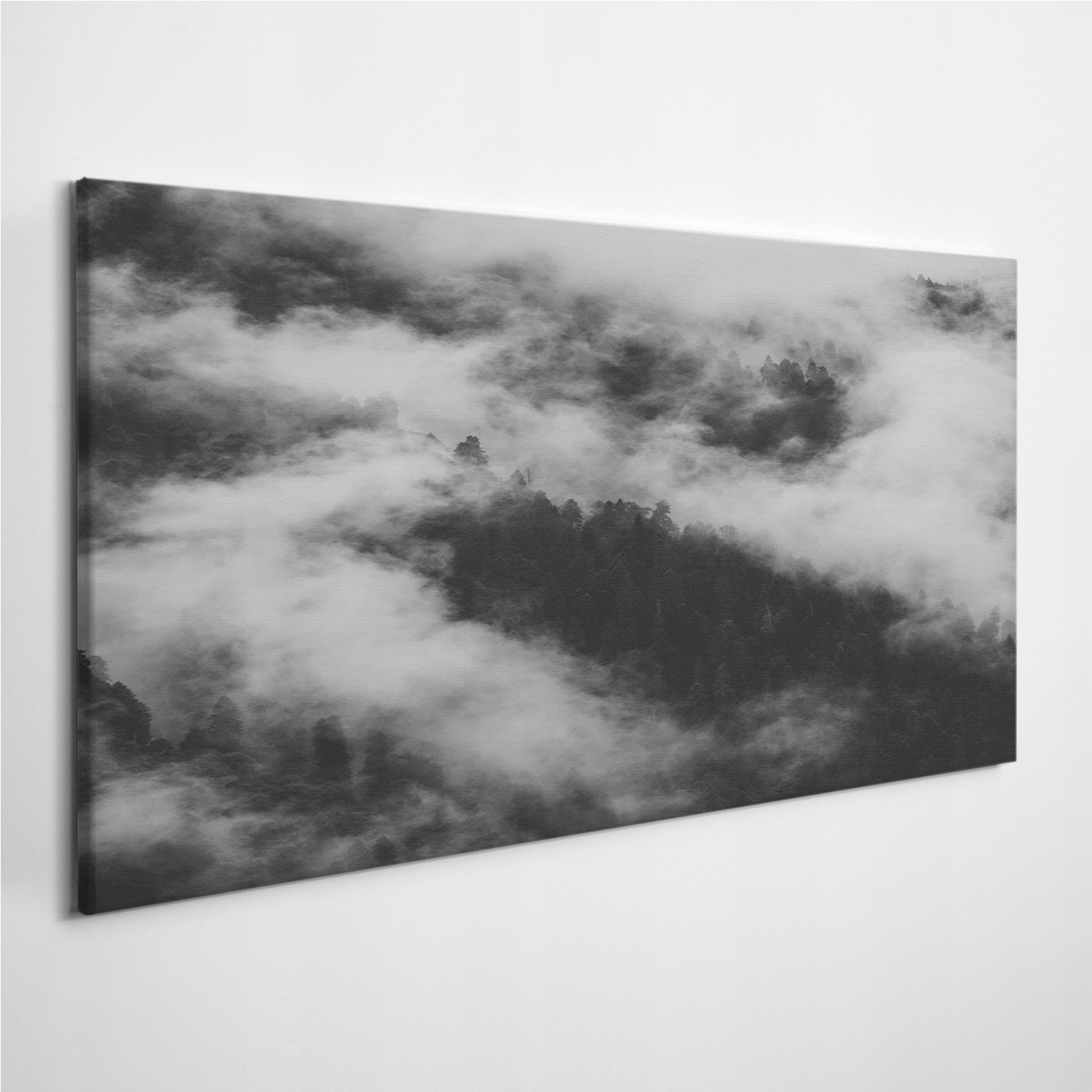 

Foto-obraz na płótnie Krajobraz Mgła Las 140x70 cm