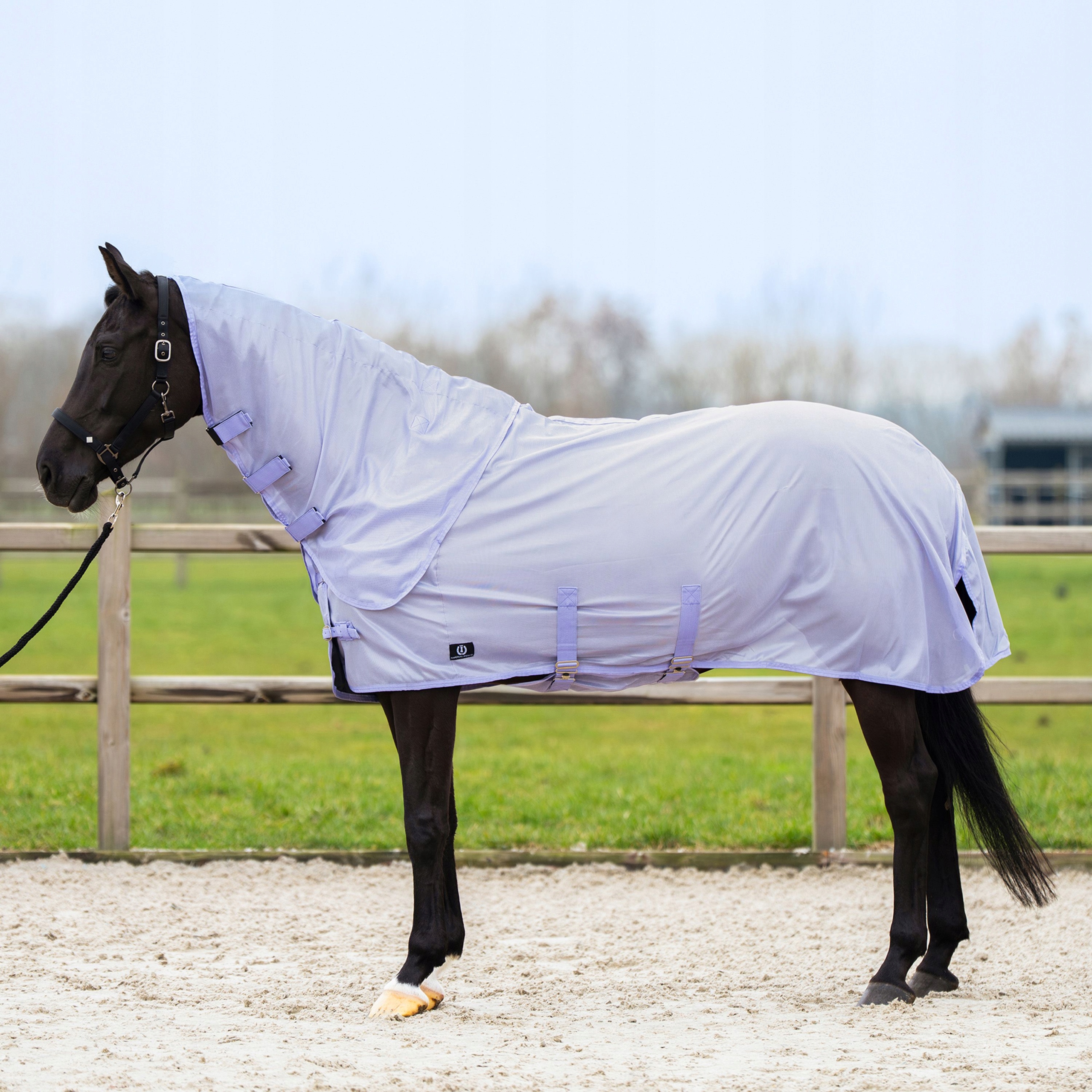Derka siatkowa dla konia Imperial Riding przeciw owadom fioletowa 205 (155)