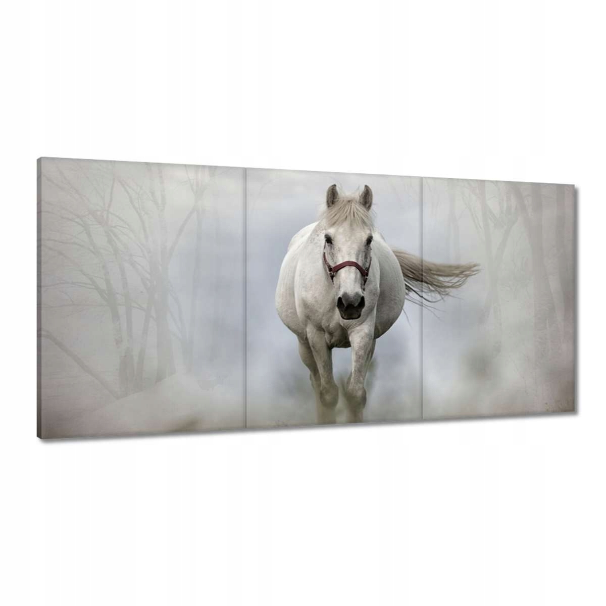 Obrazy 180x90 Kôň Kone Jazdenie