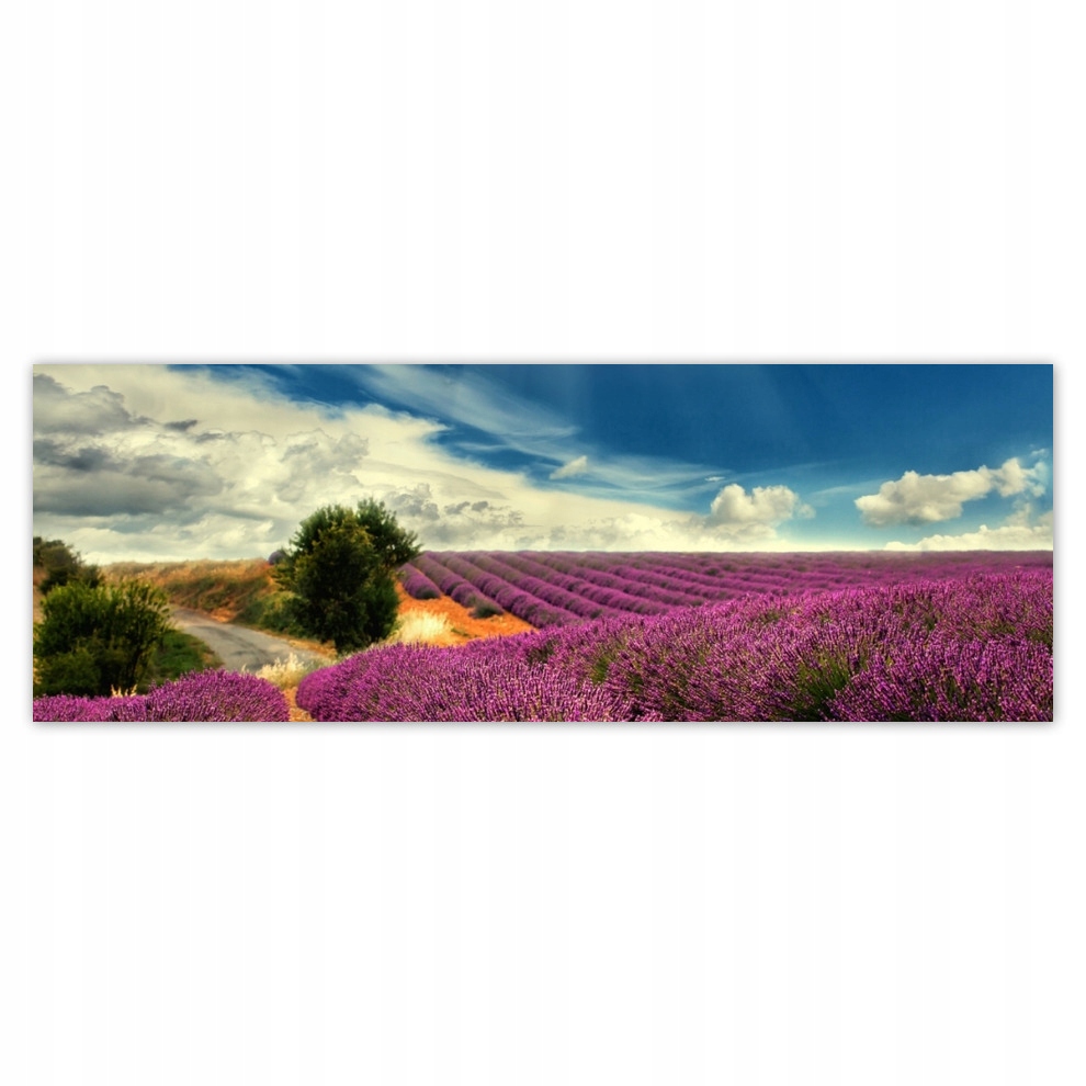 Fototapety flizelina 624x219 Pole lawendowe