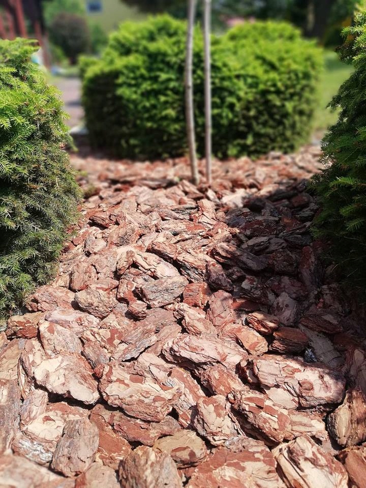 Kora Sosnowa Sortowana Extra Gruba 80l 33szt Marka inna