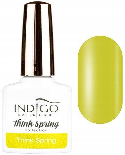 

Indigo Lakier Hybrydowy Think Spring