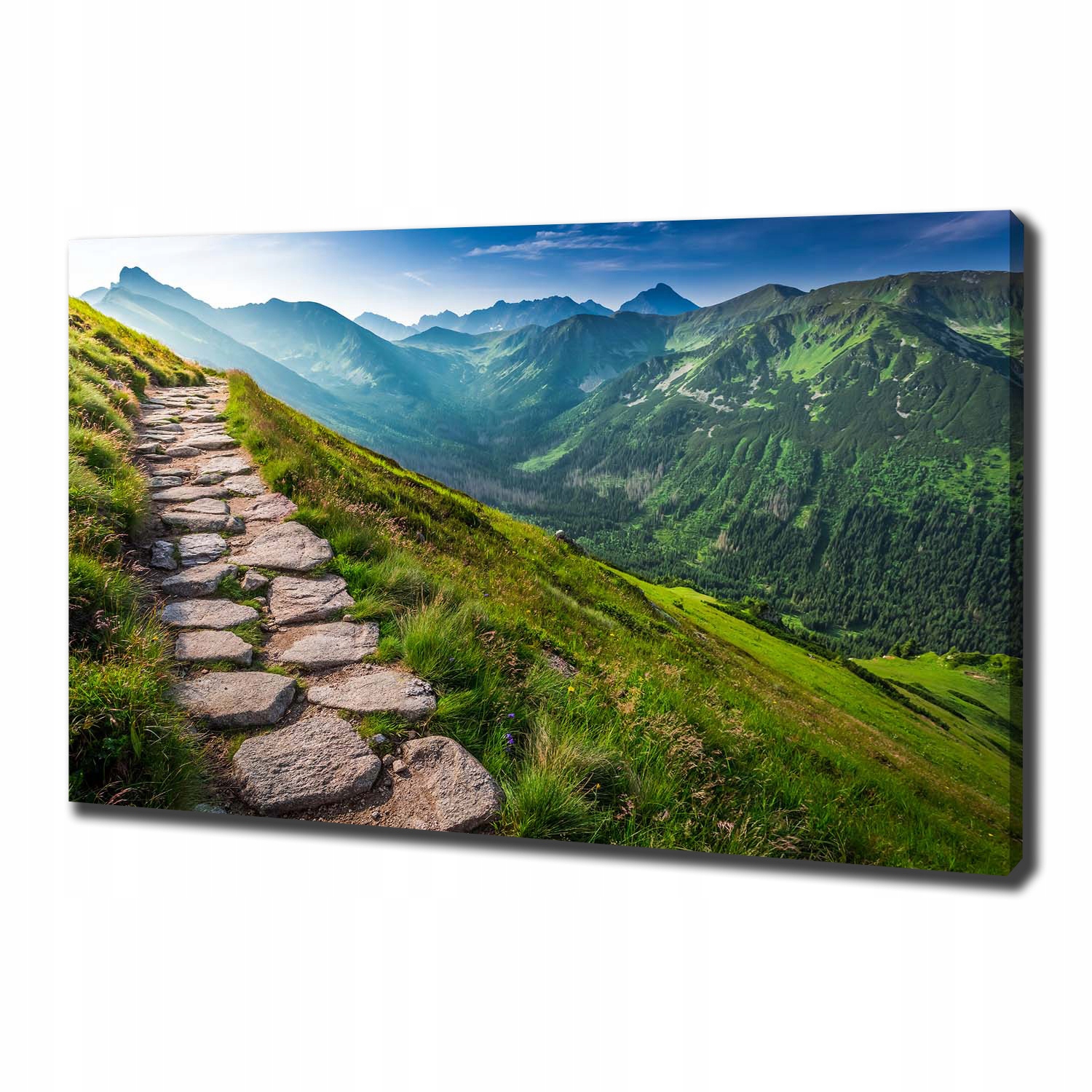 

Foto obraz na płótnie Ścieżka w Tatrach 100x70 cm