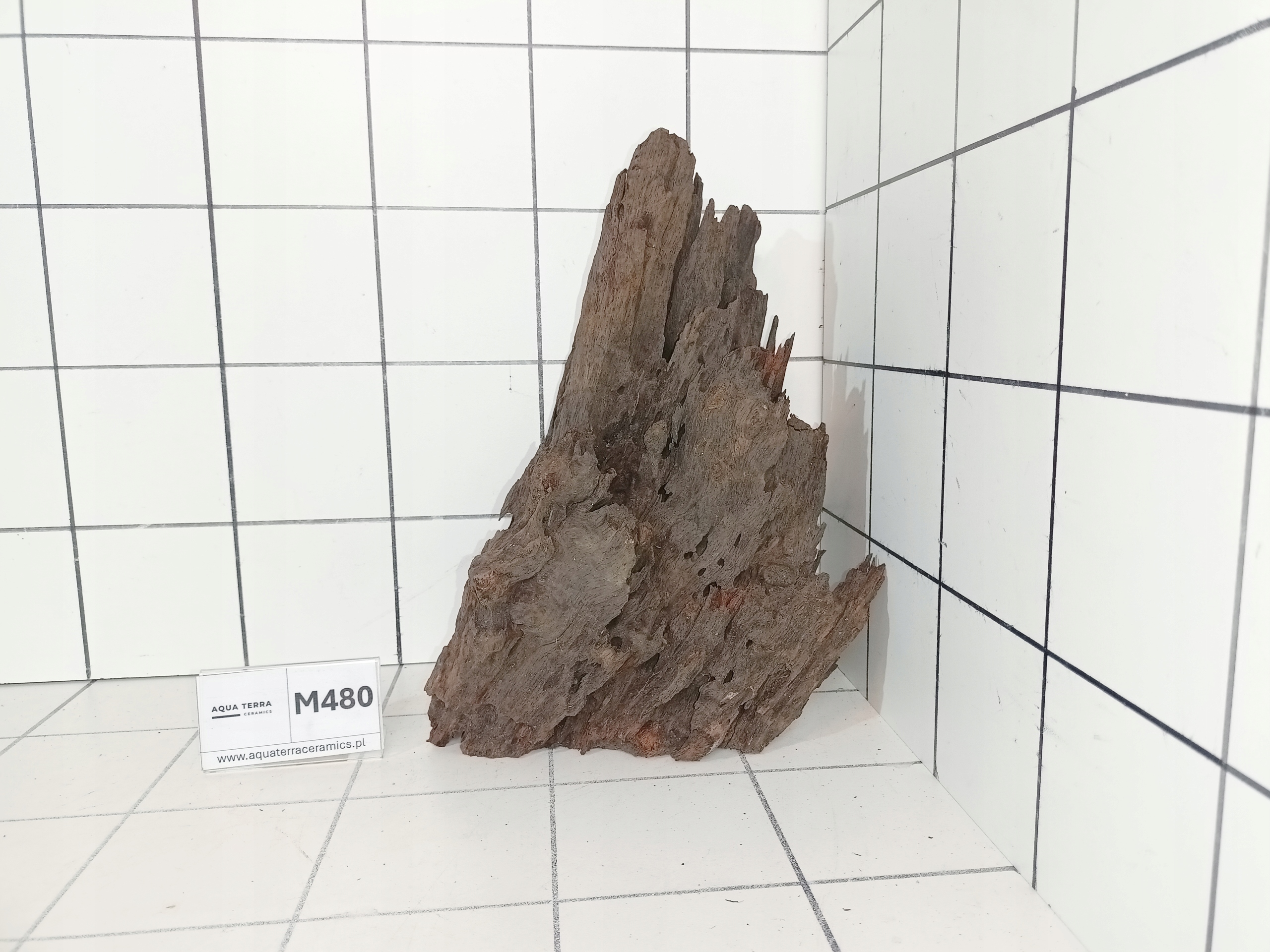 Korzeń Mangrowiec M480 – Piękny Kształt! Gotowy do Akwarium Terrarium
