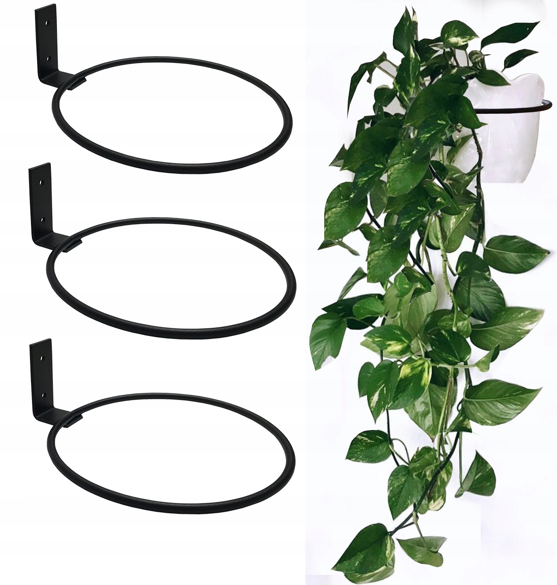 

Uchwyt ścienny na doniczkę kwietnik Loft 16 CM 3x
