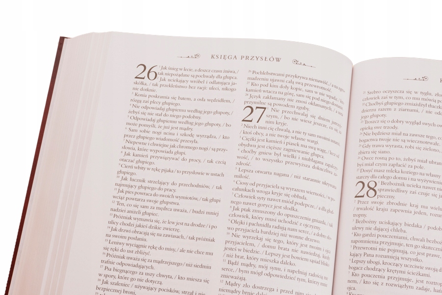 Pismo Święte Starego i Nowego Testamentu. Biblia domowa w etui Okładka twarda