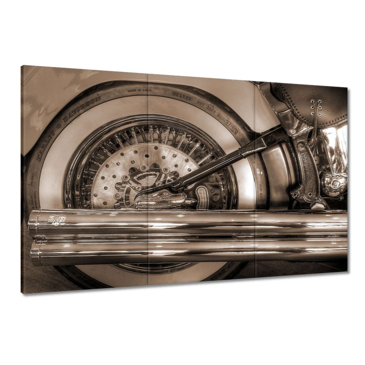 Obrazy 120x80 Harley Davidson Motocykl