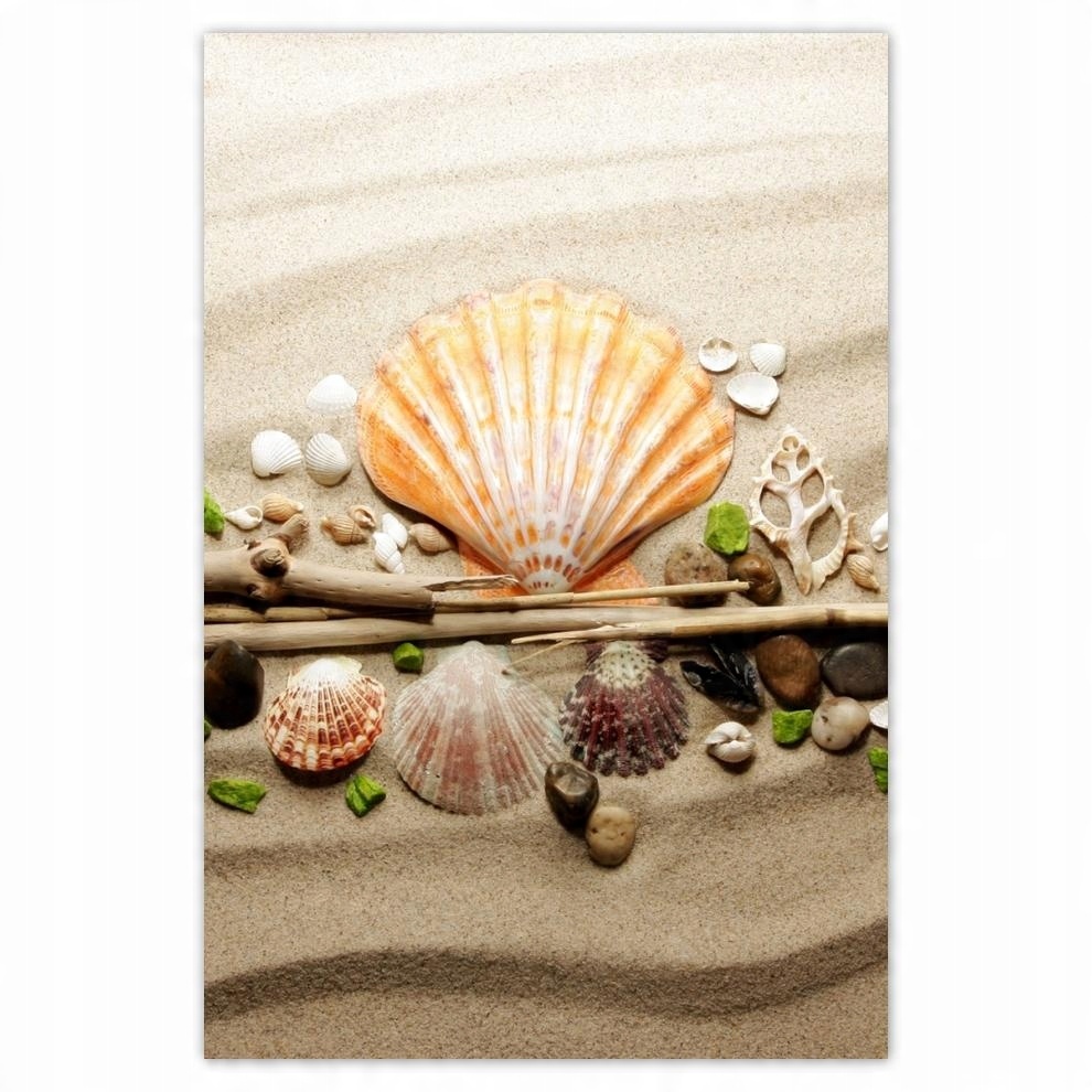 

Plakaty 40x60 Muszelki Morski piasek