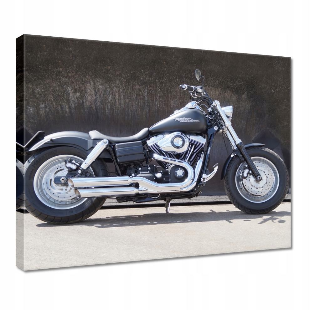 

Obrazy 50x40 Motor Harley Davidson