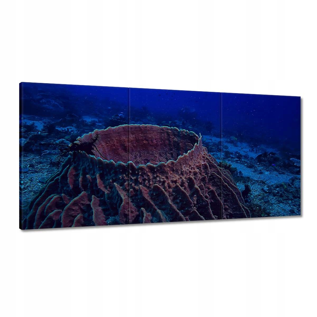 Obrazy 180x90 Podmorský život