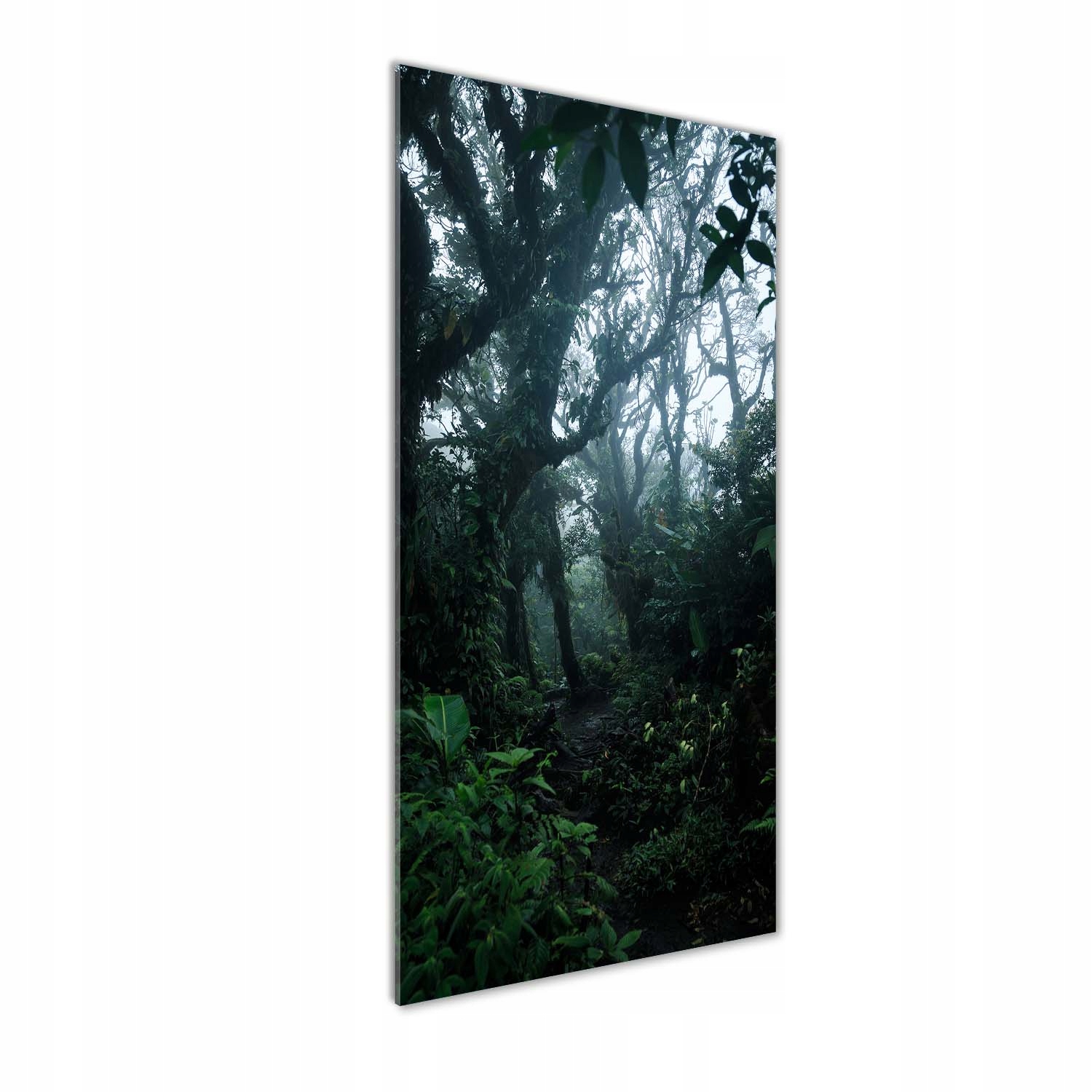 

Foto obraz szkło hartowane Las deszczowy 50x125 cm