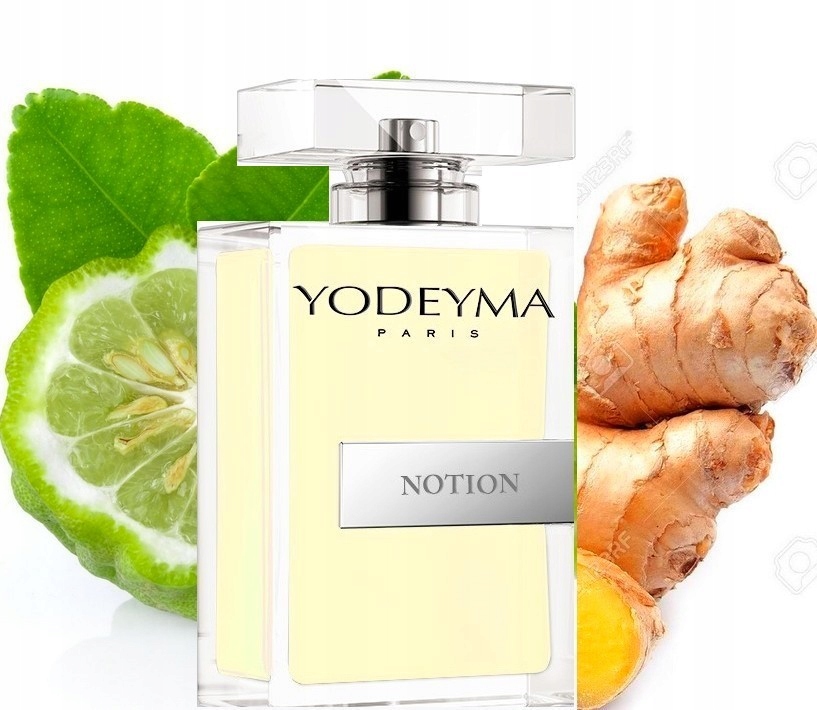 NOTION Perfumy męskie YODEYMA 100ml