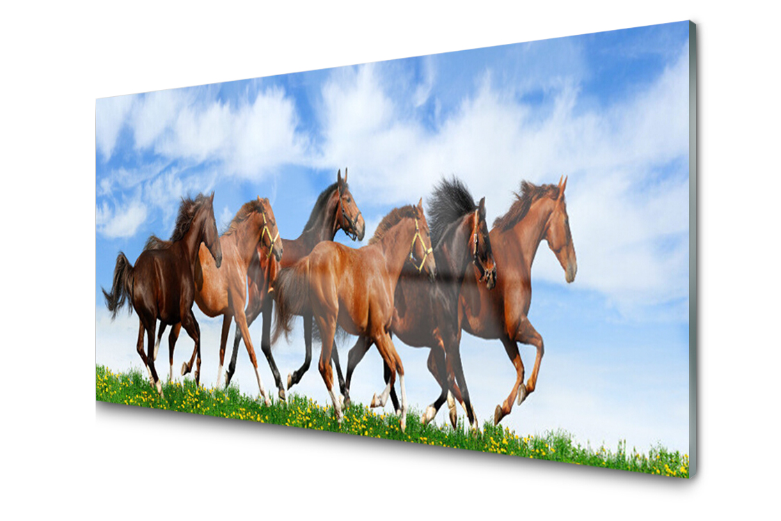 

Panel szklany Płytka Konie w Galopie 120x60