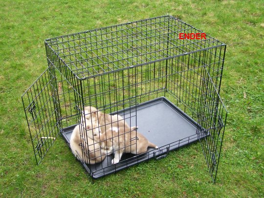 DUŻA KLATKA KOJEC dla PSA PSÓW 106x71x81 cm XXL Materiał wykonania stal proszkowana