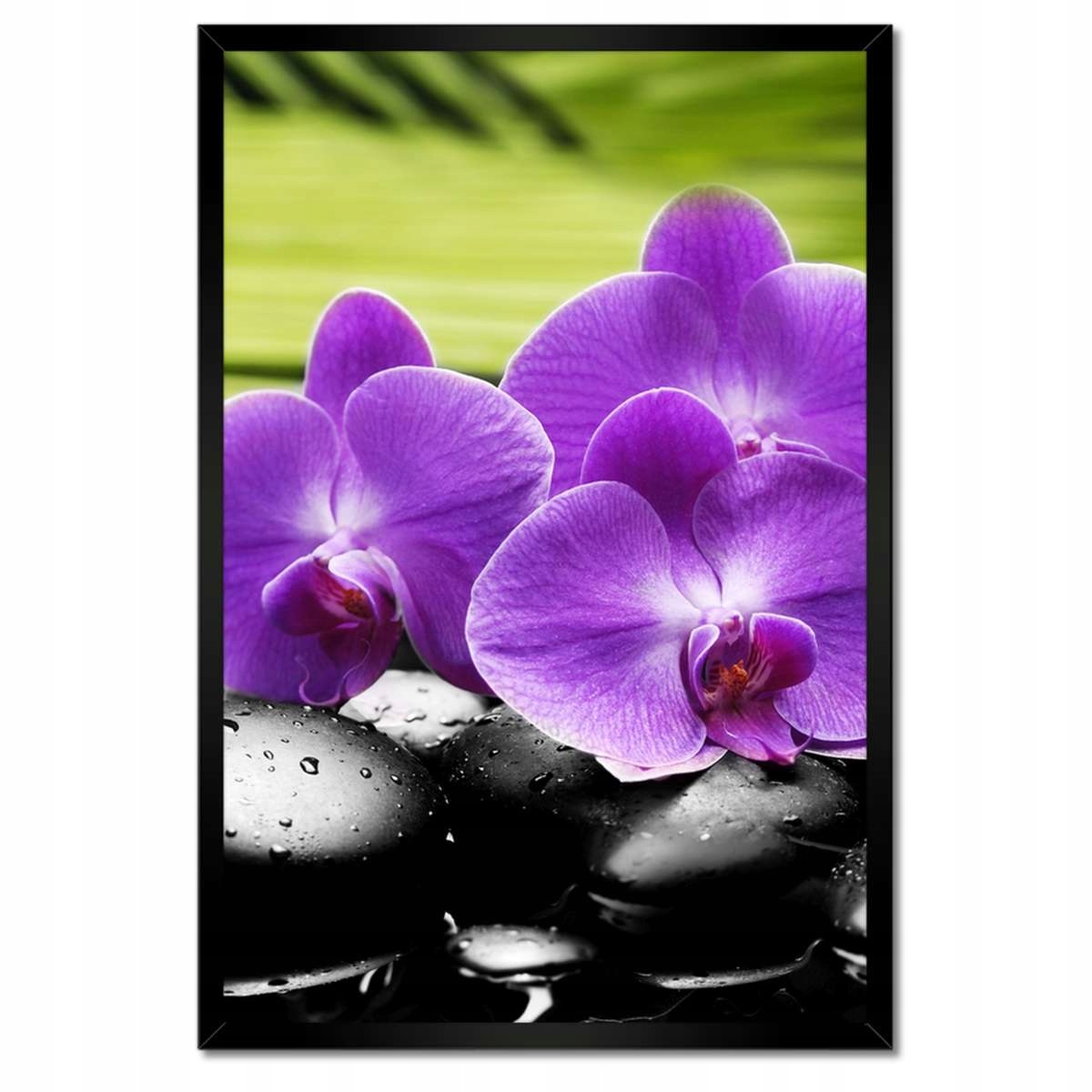 Plakáty v rámu 40x60 Orchideje na kamenech