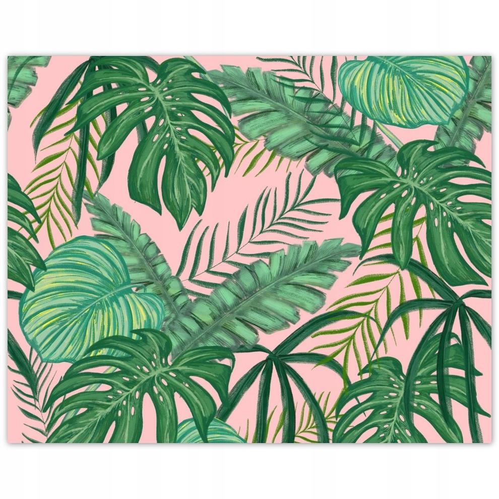 

Plakat 50x40 Domowa dżungla