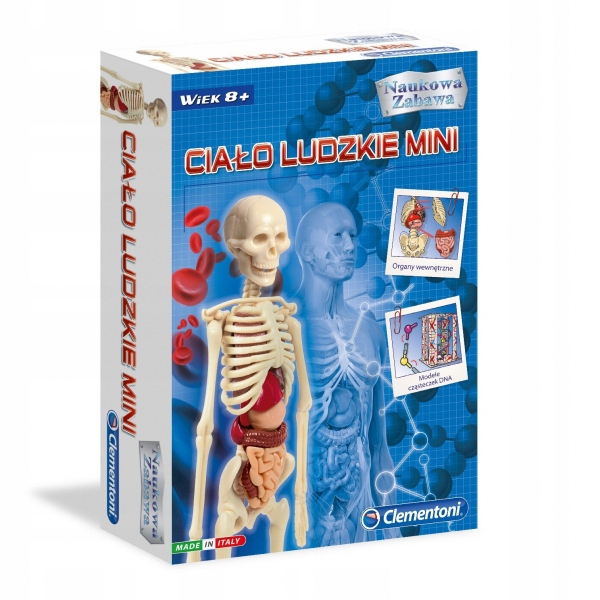 MODEL DO ZABAWY DLA DZIECI CIAŁO LUDZKIE MINI CLEMENTONI