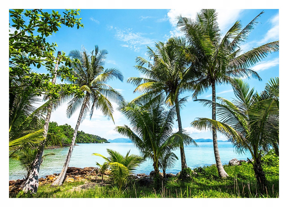 

Fototapeta 3D palmy morze plaża 312x219 F00868