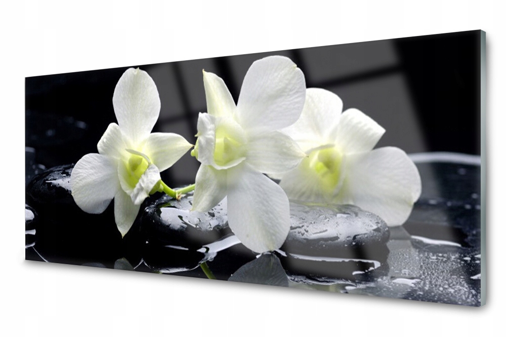 

Panel szklany do kuchni Kwiat Roślina 125x50