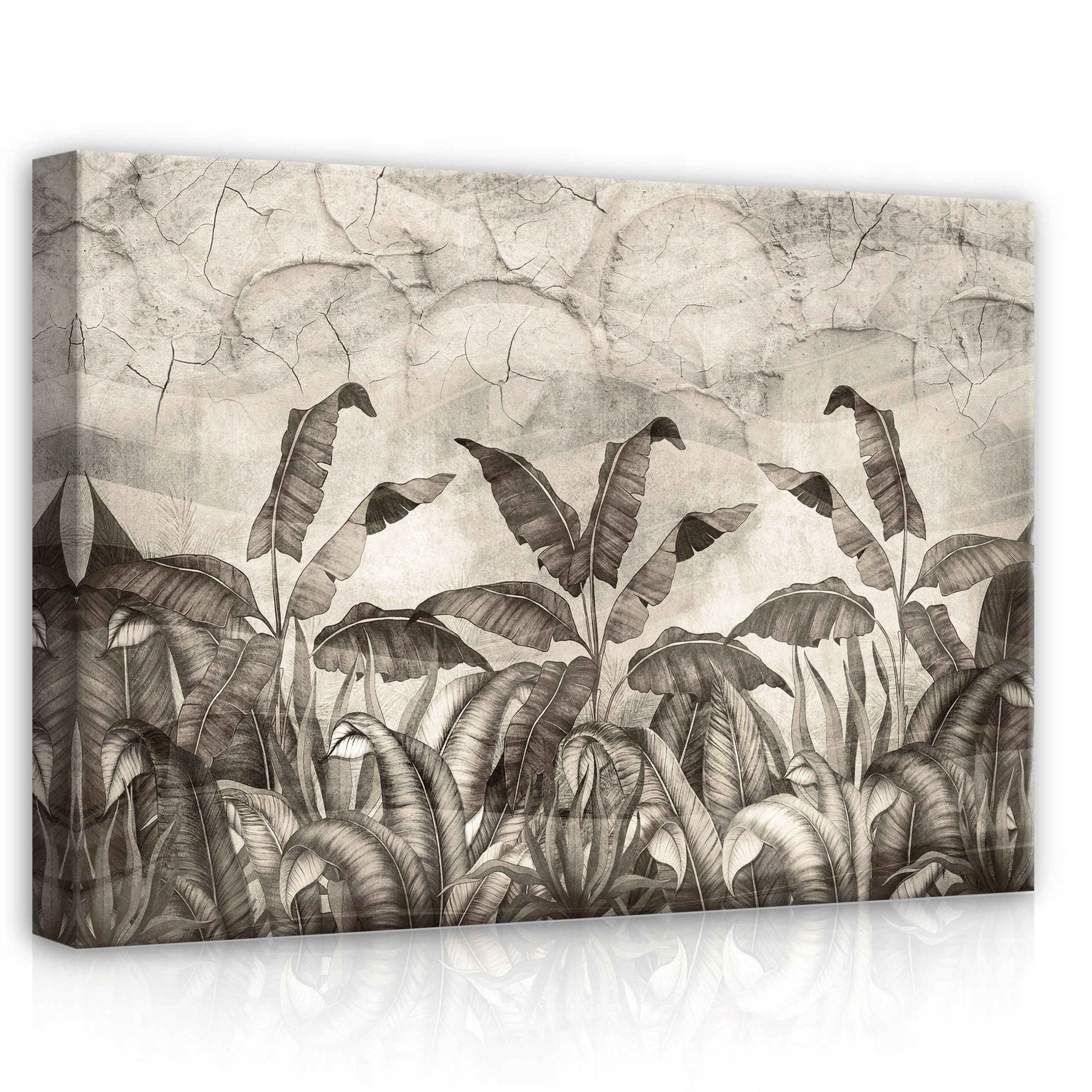 Obraz 70x50 Tropické listy džungle šedá textura příroda klid botanika
