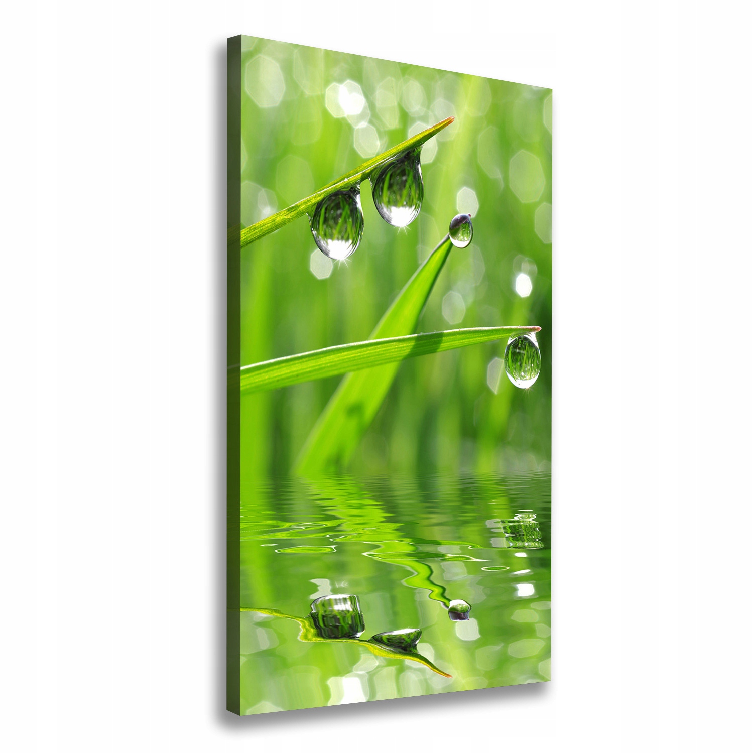 

Foto obraz canvas do salonu Źdźbła trawy 60x120