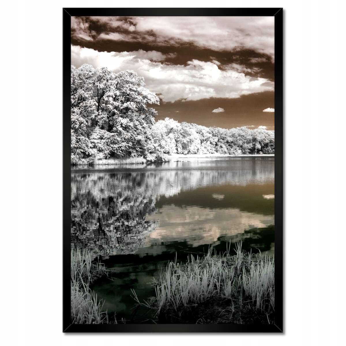 Plakáty v rámu 40x60 Infračervená krajina Ir