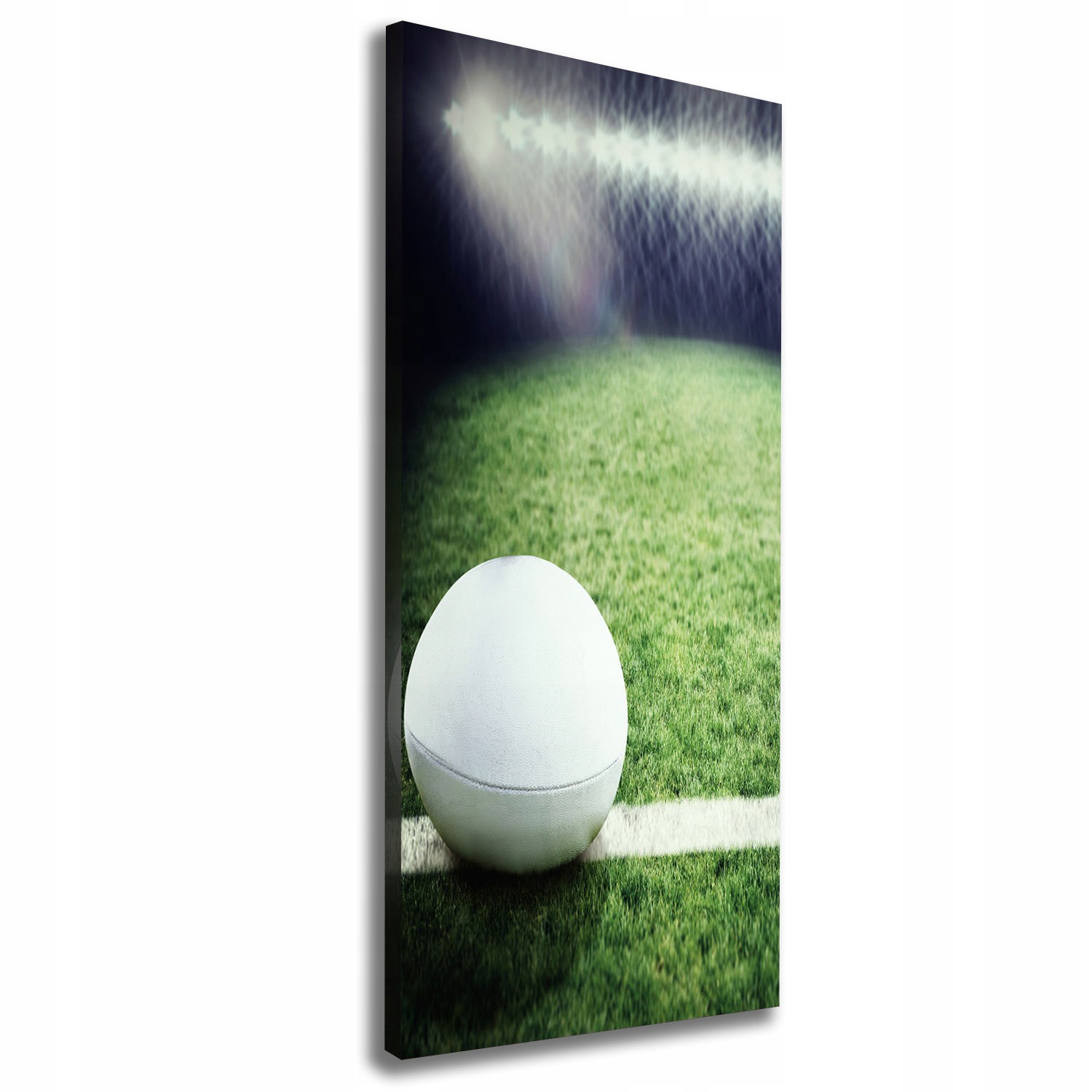 

Foto obraz na płótnie Piłka w rugby 50x125 cm