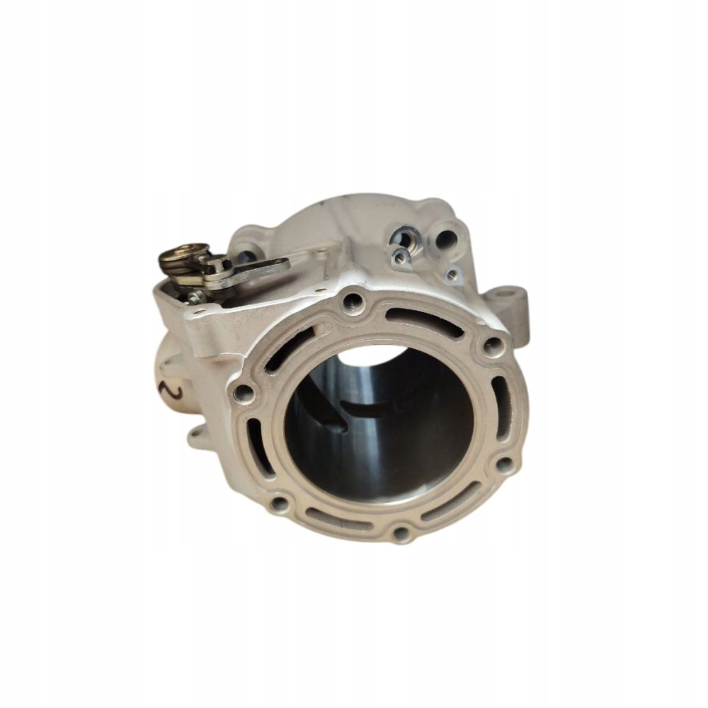 Cylinder Oem 01315 Tm Racing 300FI 2T En