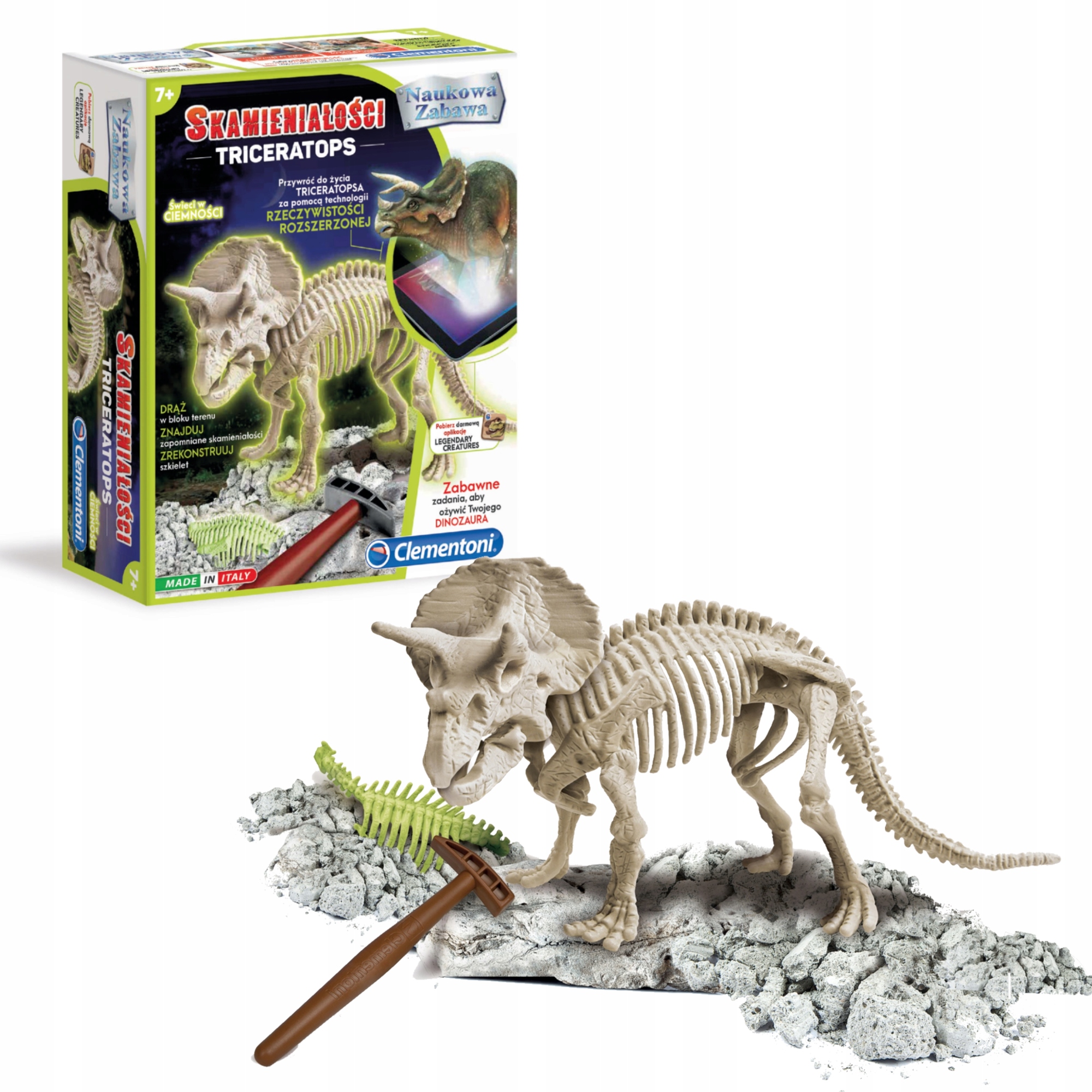 

Skamieniałości Triceratops Dinozaur Świeci Clement