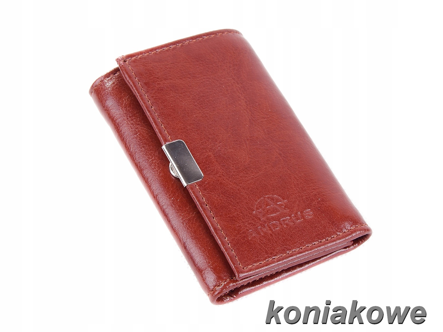 Etui na klucze z portfelikiem - ANDRUS - SKÓRA Naturalna Wzór dominujący bez wzoru