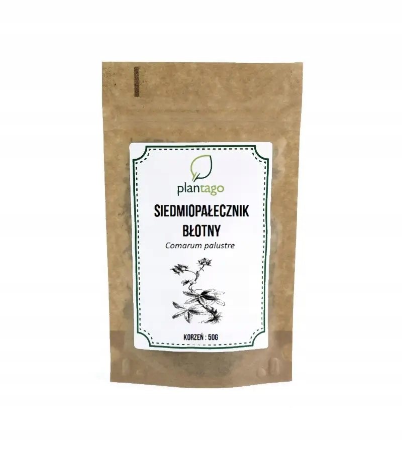

Siedmiopałecznik błotny korzeń cięty 50g