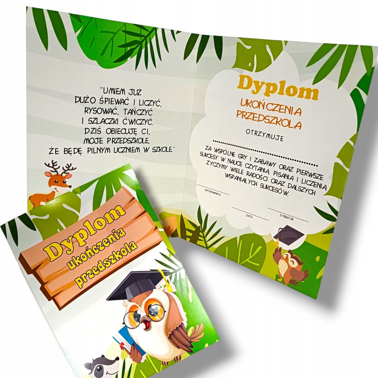 

Dyplom ukończenia przedszkola złobka Składany