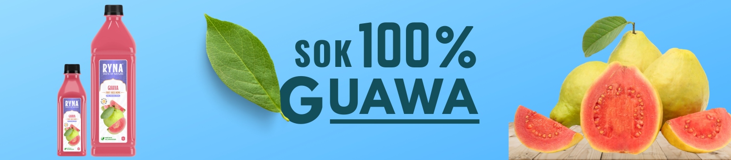 RYNA GUAVA JUICE 200ML Kind juice