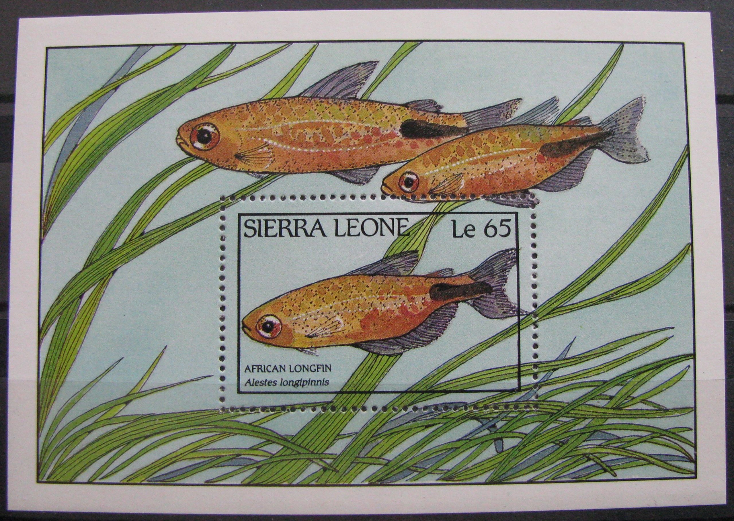 SIERRA LEONE - blok czysty **