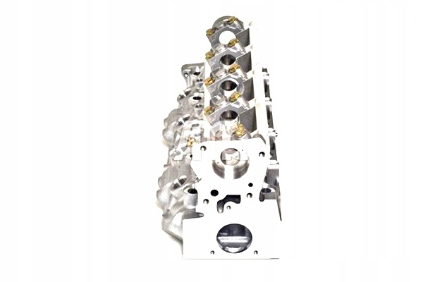 GŁOWICA CYLINDRÓW OPEL ARENA RENAULT CLIO II KANGOO KANGOO EXPRESS EAN (GTIN) 8432817080982