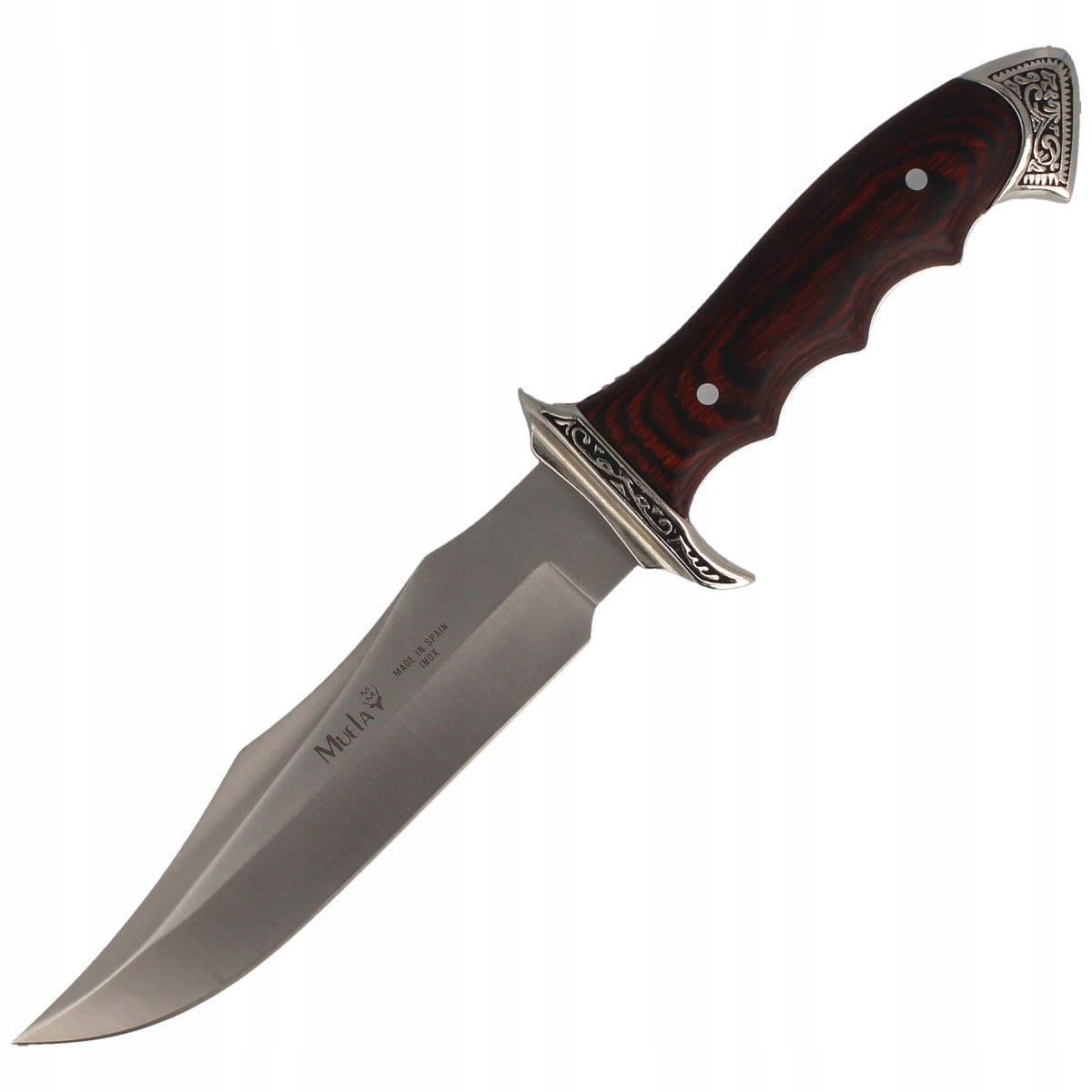 Nóż Finka Muela Pakkawood Nikiel 160mm 21733 myśliwski turystyczny skóra